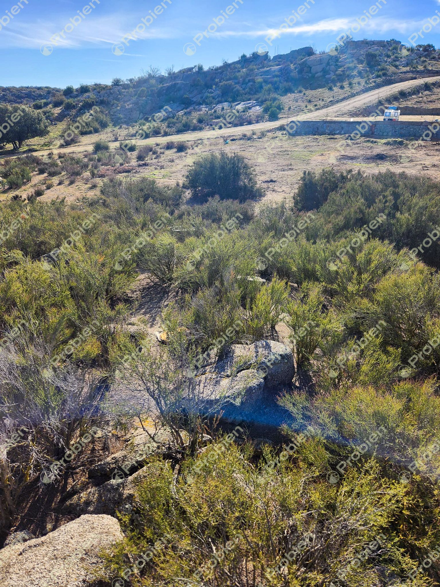 Terreno en Venta - 1000m² en El Encinal Ideal para casa de Campo - Foto 9 de 11