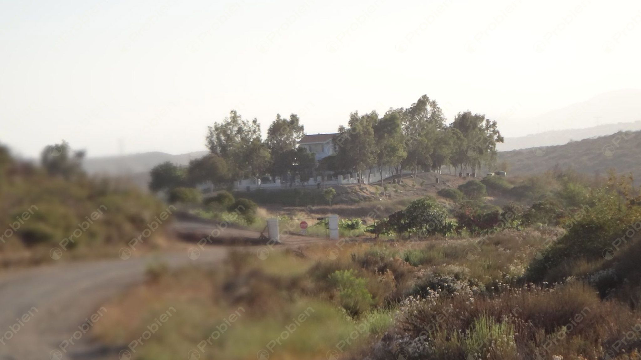 Rancho El Ronco en Venta – 3 Hectáreas a 30 Min de Ensenada, Ideal para Viñedo - Foto 13 de 16