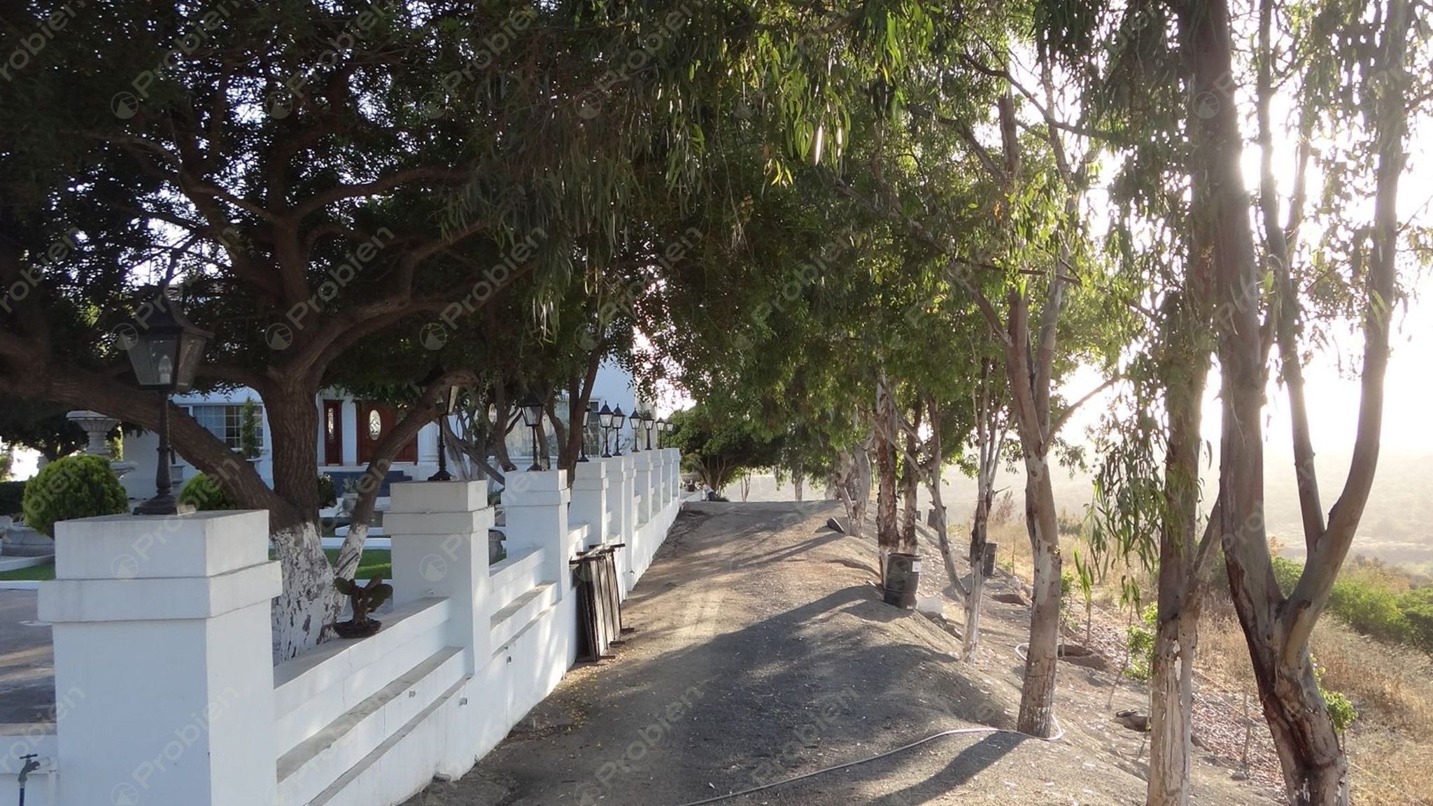 Rancho El Ronco en Venta – 3 Hectáreas a 30 Min de Ensenada, Ideal para Viñedo - Foto 9 de 16