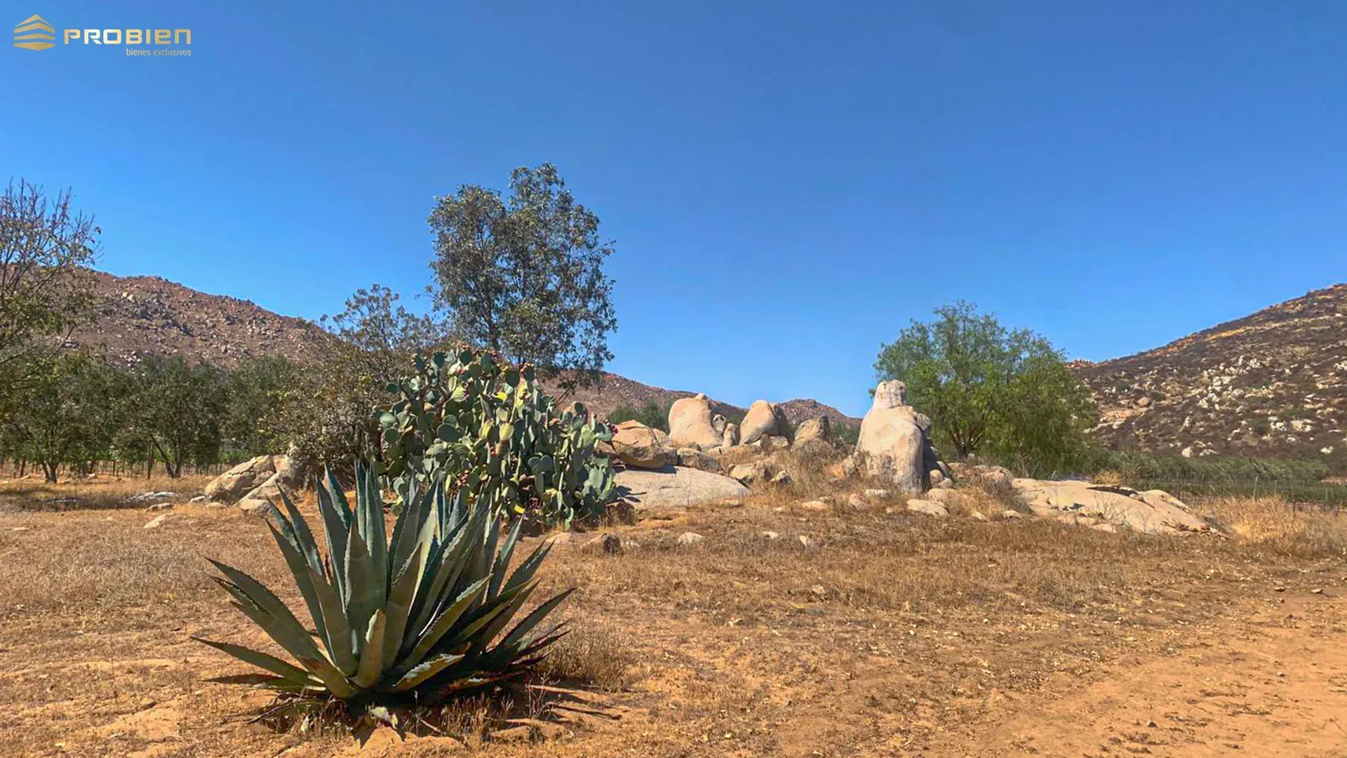 Terreno para desarrollo en Venta - Valle de Guadalupe - Foto 10 de 14