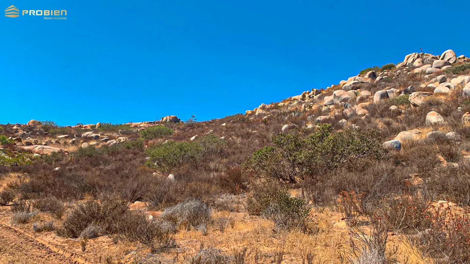 Terreno para desarrollo en Venta - Valle de Guadalupe - Foto 11 de 14