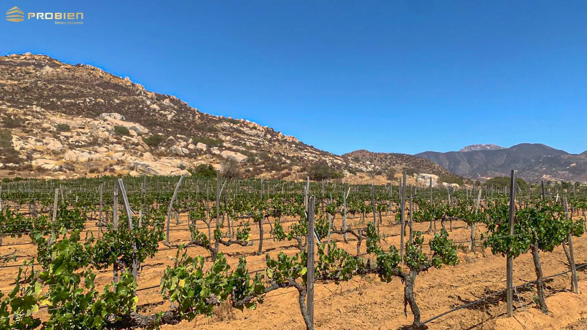 Terreno para desarrollo en Venta - Valle de Guadalupe - Foto 12 de 14