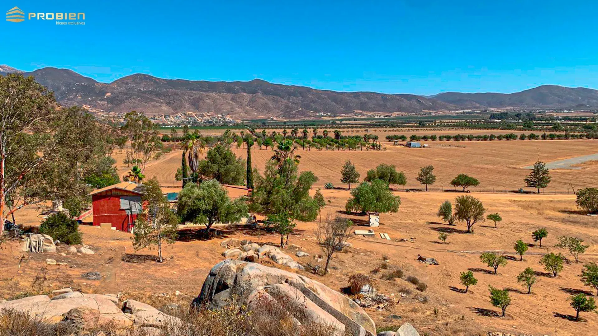 Terreno para desarrollo en Venta - Valle de Guadalupe - Foto 13 de 14