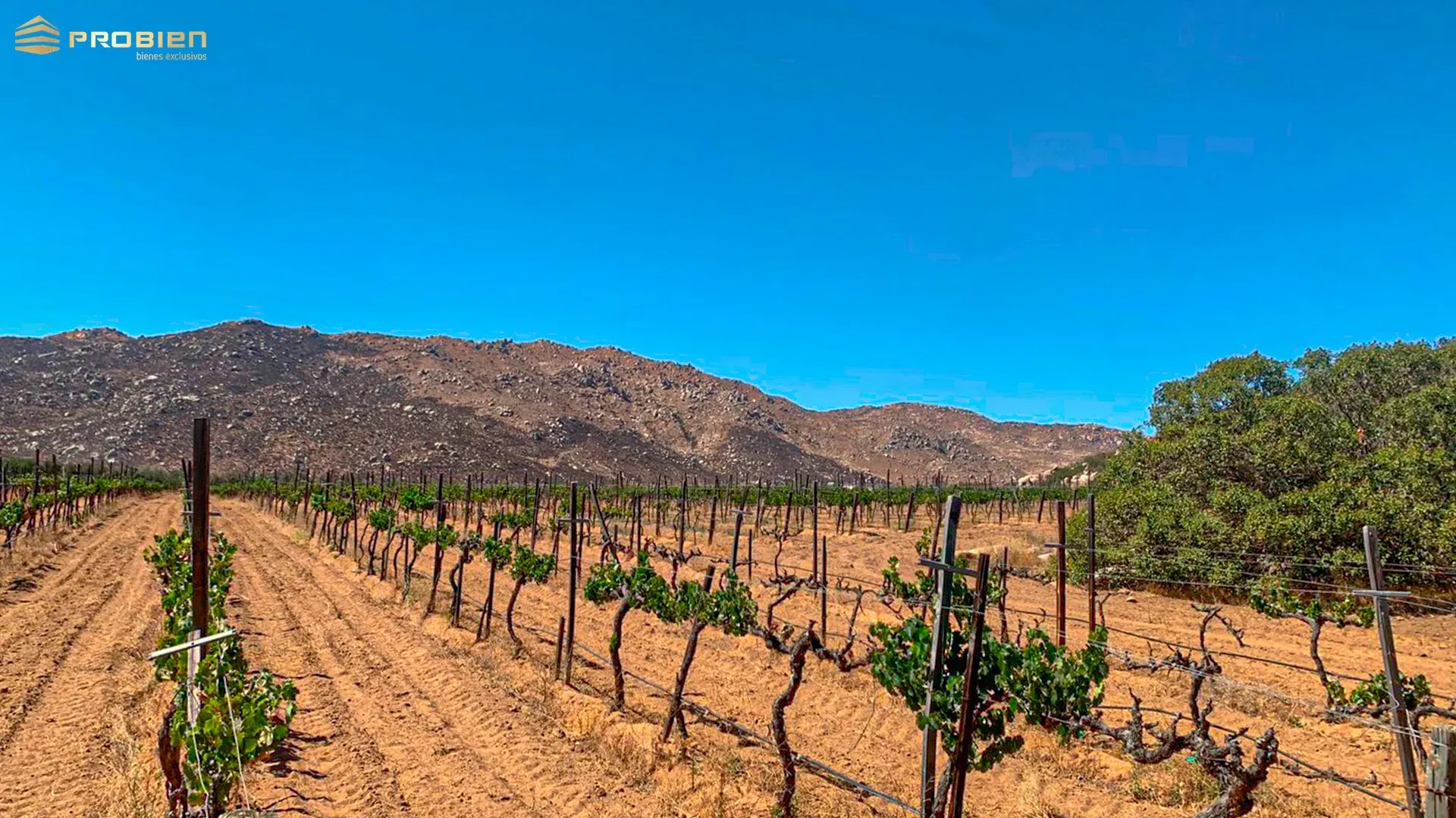 Terreno para desarrollo en Venta - Valle de Guadalupe - Foto 14 de 14