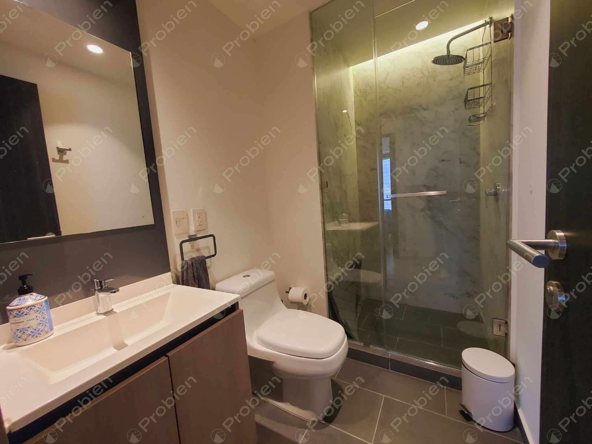 Departamento amueblado en venta en Adamant Toreo, Zona Dorada Tijuana - Foto 18 de 33