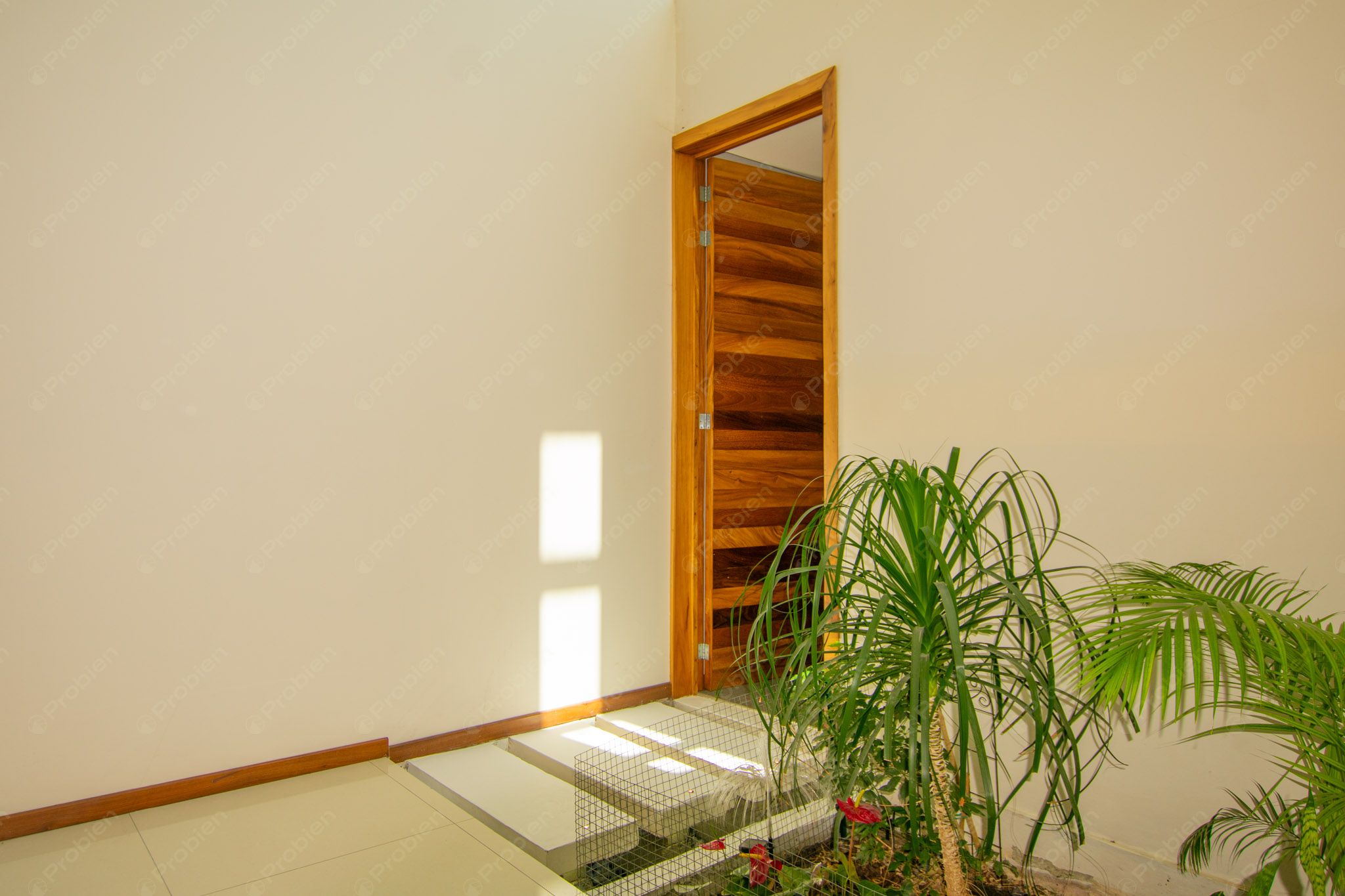 Casa Inteligente en Venta en Hacienda Agua Caliente – Privada Don Juan Eficiencia Energética y Domótica Total - Foto 12 de 22