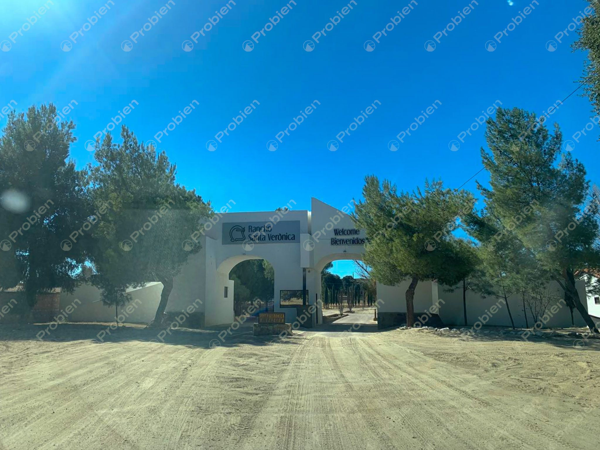 Terreno en Venta en Rancho Santa Verónica – 3,357 m² de Naturaleza y Tranquilidad - Foto 6 de 10