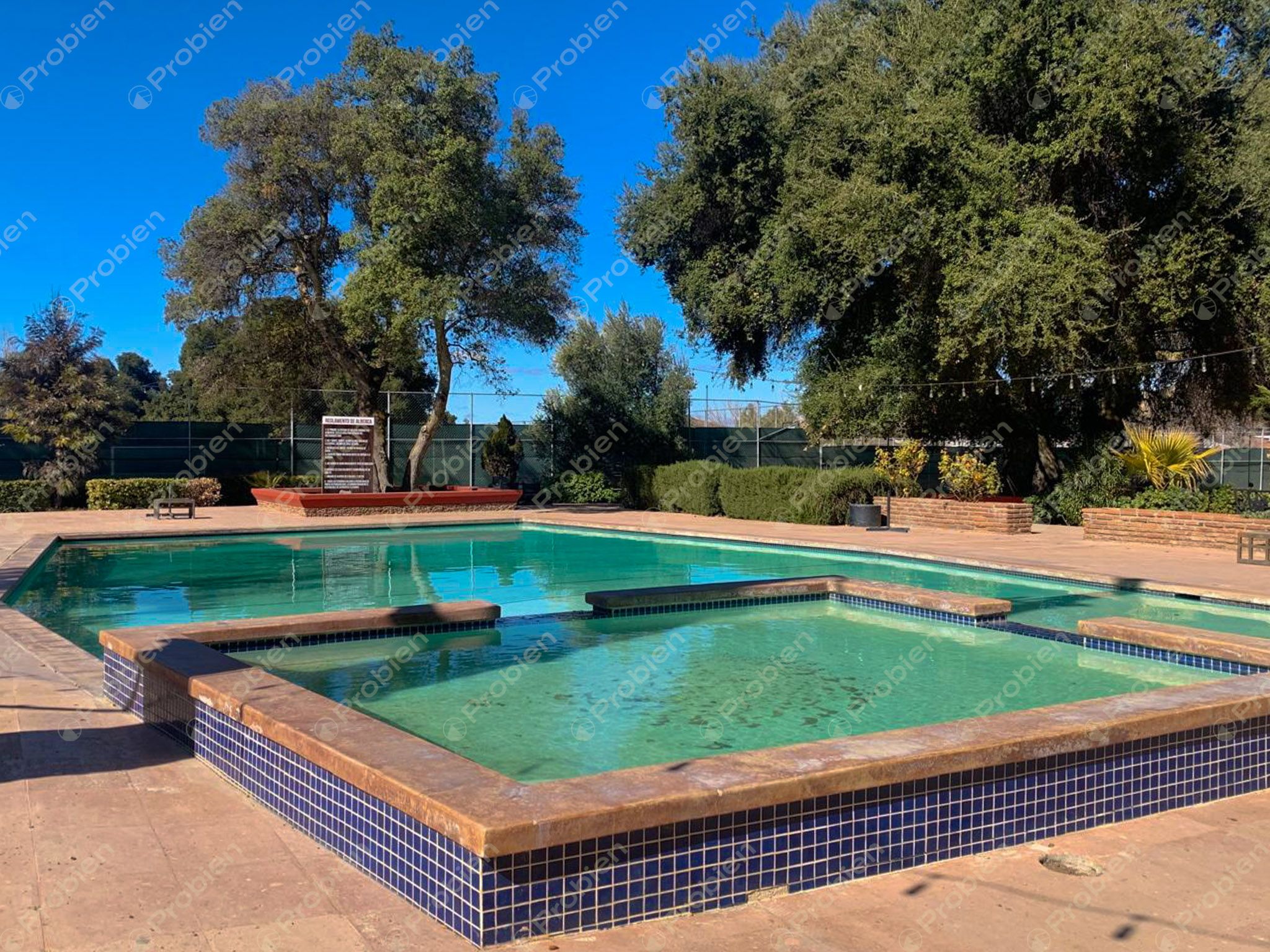 Terreno en Venta en Rancho Santa Verónica – 3,357 m² de Naturaleza y Tranquilidad - Foto 8 de 10