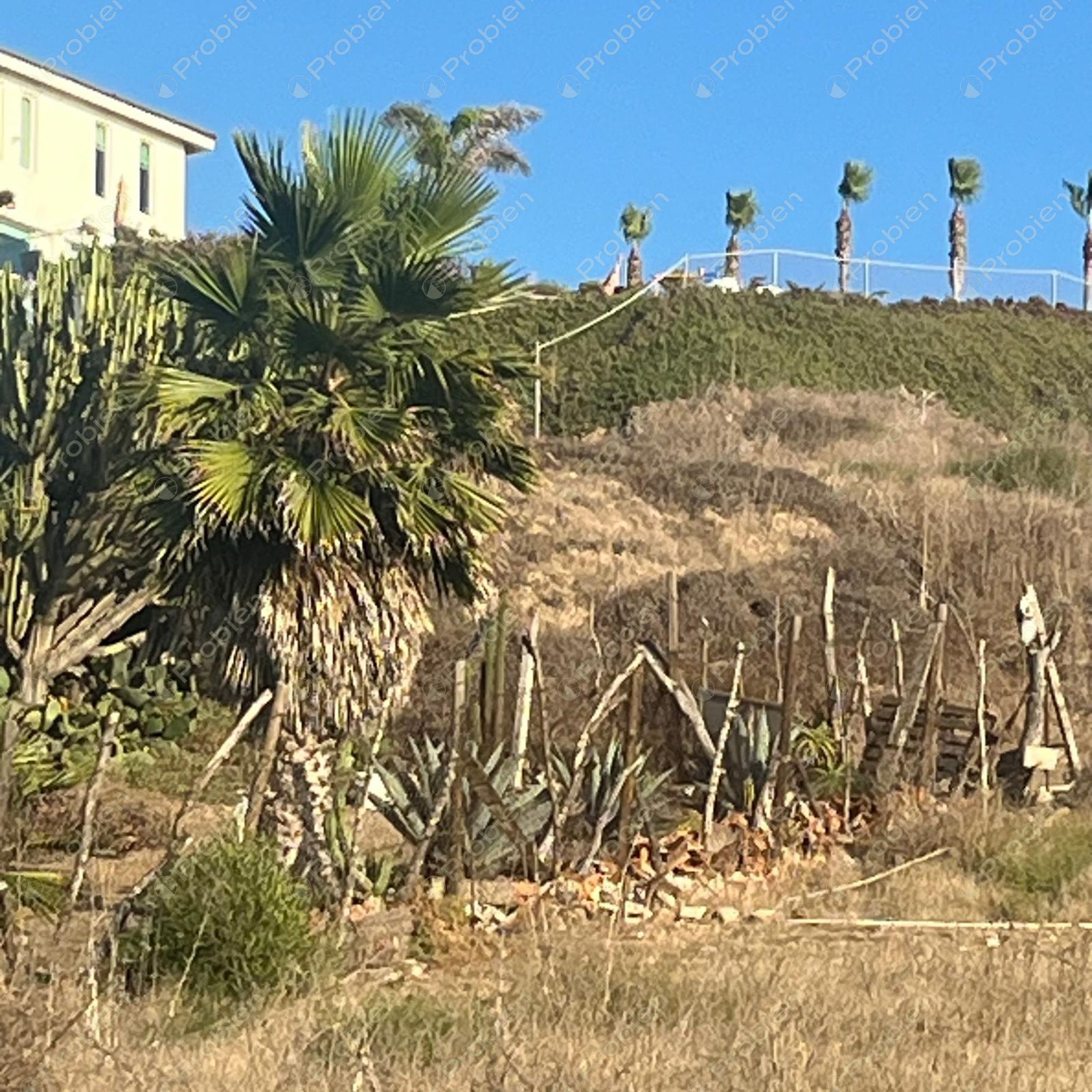 Terrenos en Venta con Vista al Mar a un costado de Real del Mar – 1,480 m² c/u para Desarrollo Residencial - Foto 4 de 5