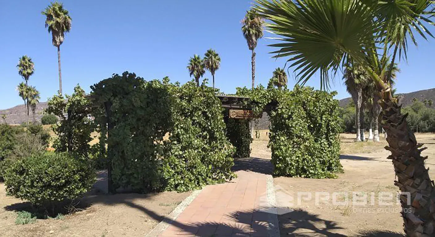 Terreno Residencial Venta - Rancho Tecate - Foto 5 de 14