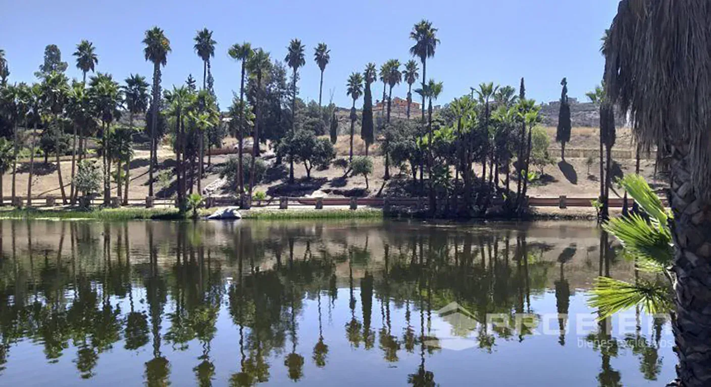 Terreno Residencial Venta - Rancho Tecate - Foto 7 de 14