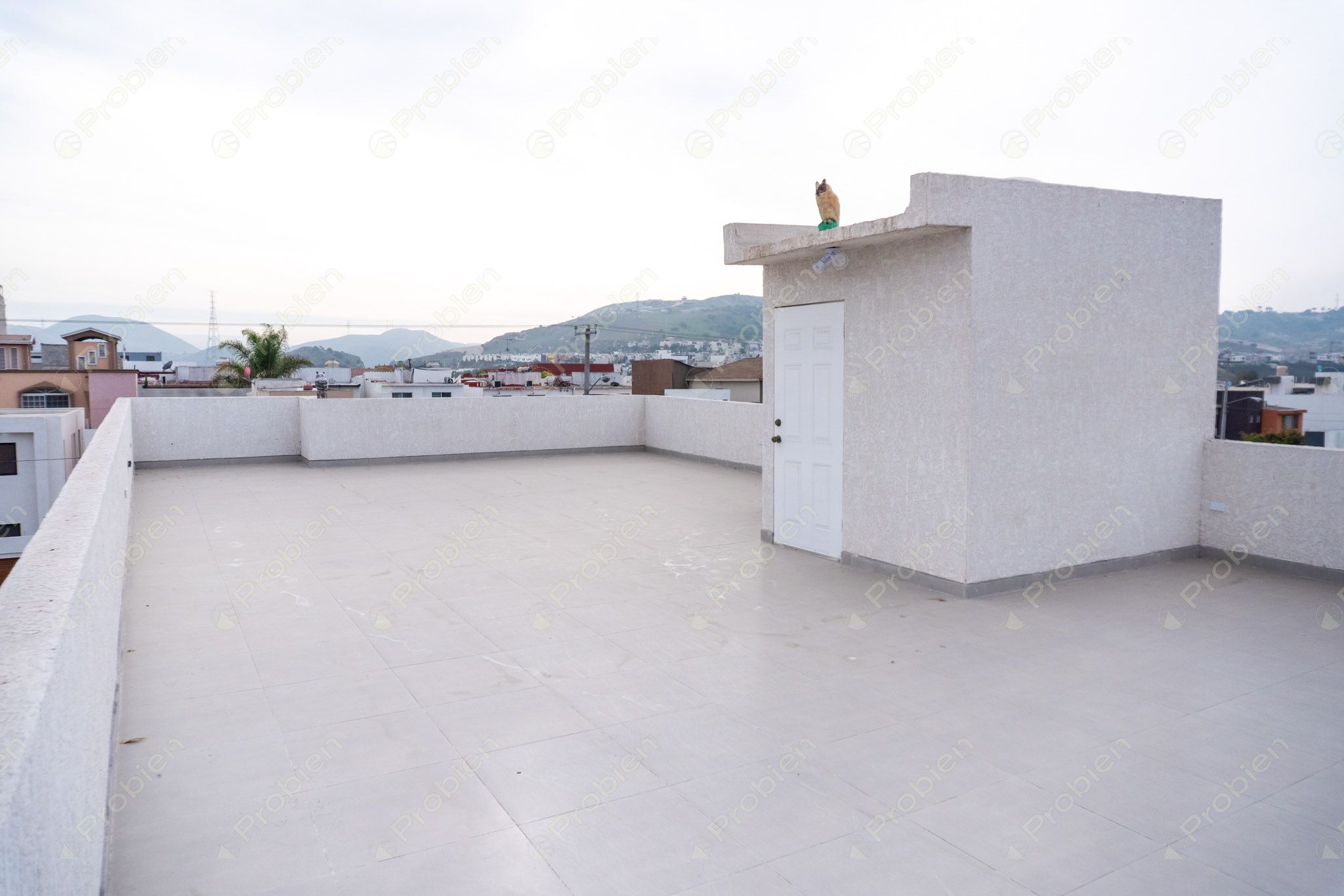 Casa en venta de 4 recámaras y 3 niveles en Terrazas de la Presa - Foto 51 de 54