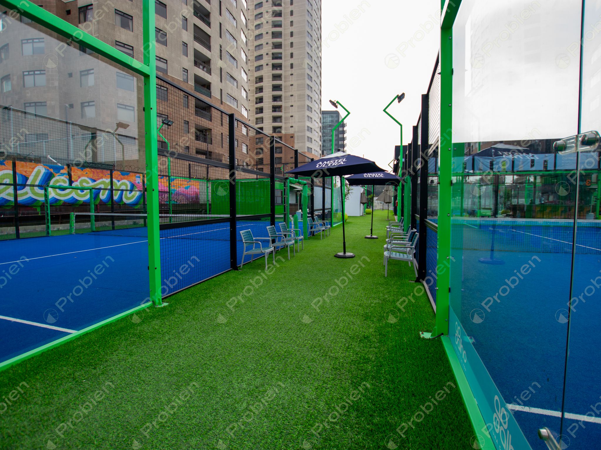 Traspaso de cancha de pádel en Zona Urbana Río, negocio en funcionamiento y posicionado en Tijuana - Foto 2 de 15