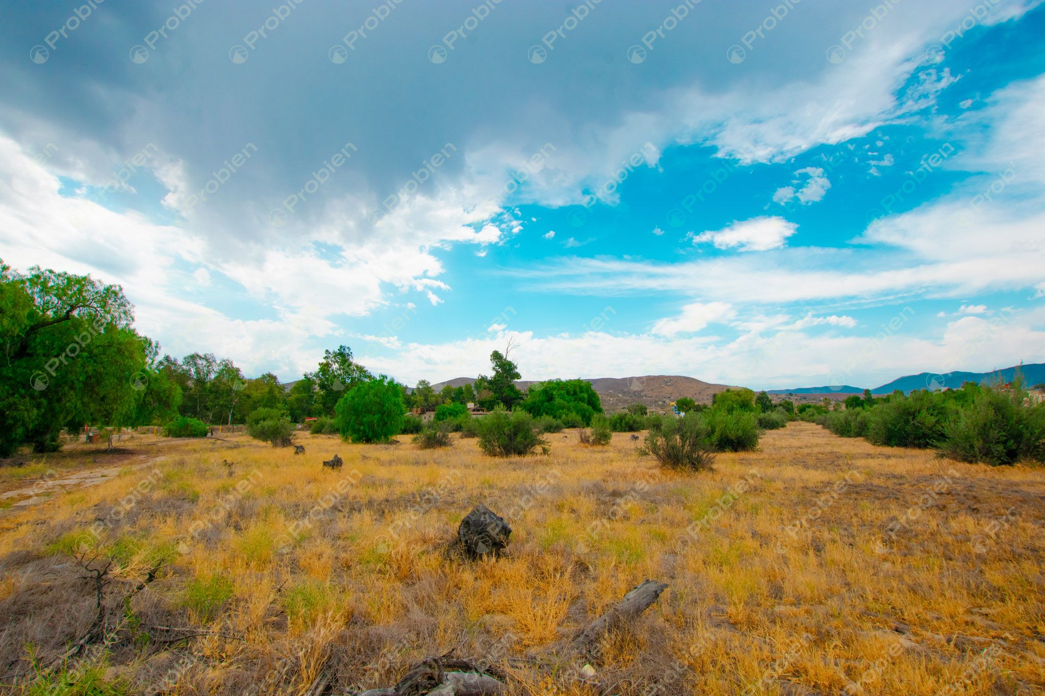 Terreno en Venta en Valle de las Palmas, Tecate – A Pie de Carretera con Potencial Industrial y Habitacional - Foto 8 de 13