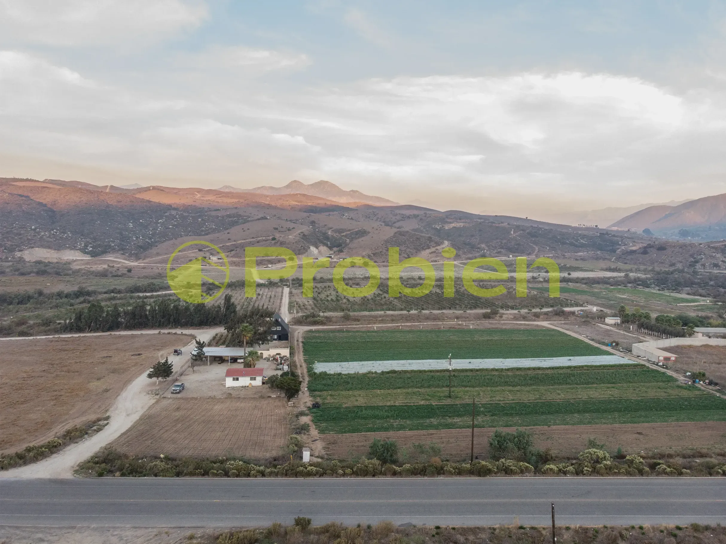 Viñedo Avilas en Venta - Ensenada - Foto 6 de 17