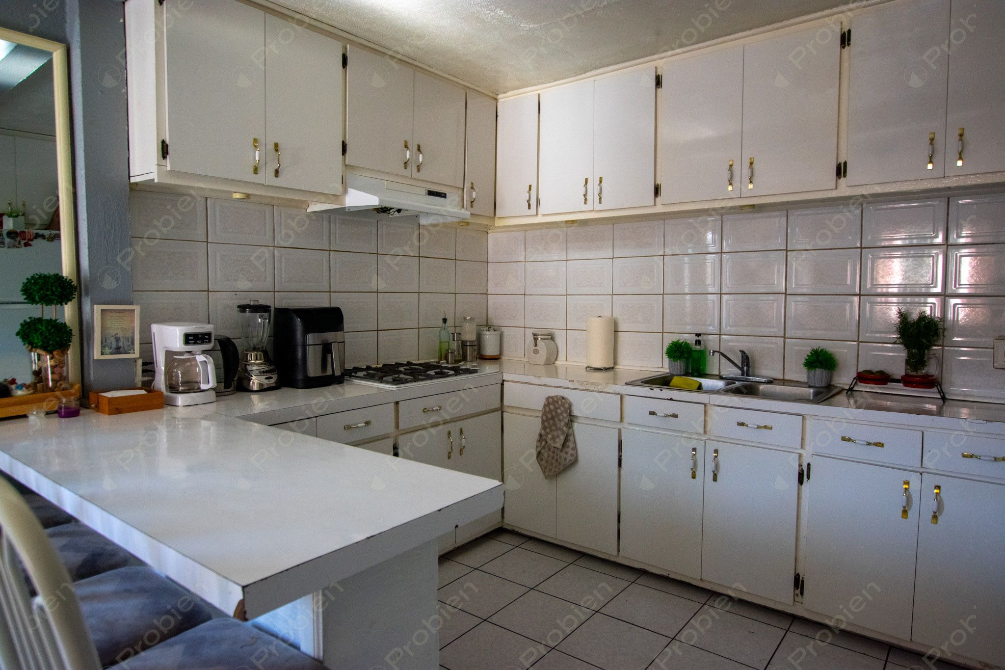 Terreno con Construcción en Venta en Col. Los Pinos de Narez – 392 m² con Gran Potencial - Foto 11 de 16