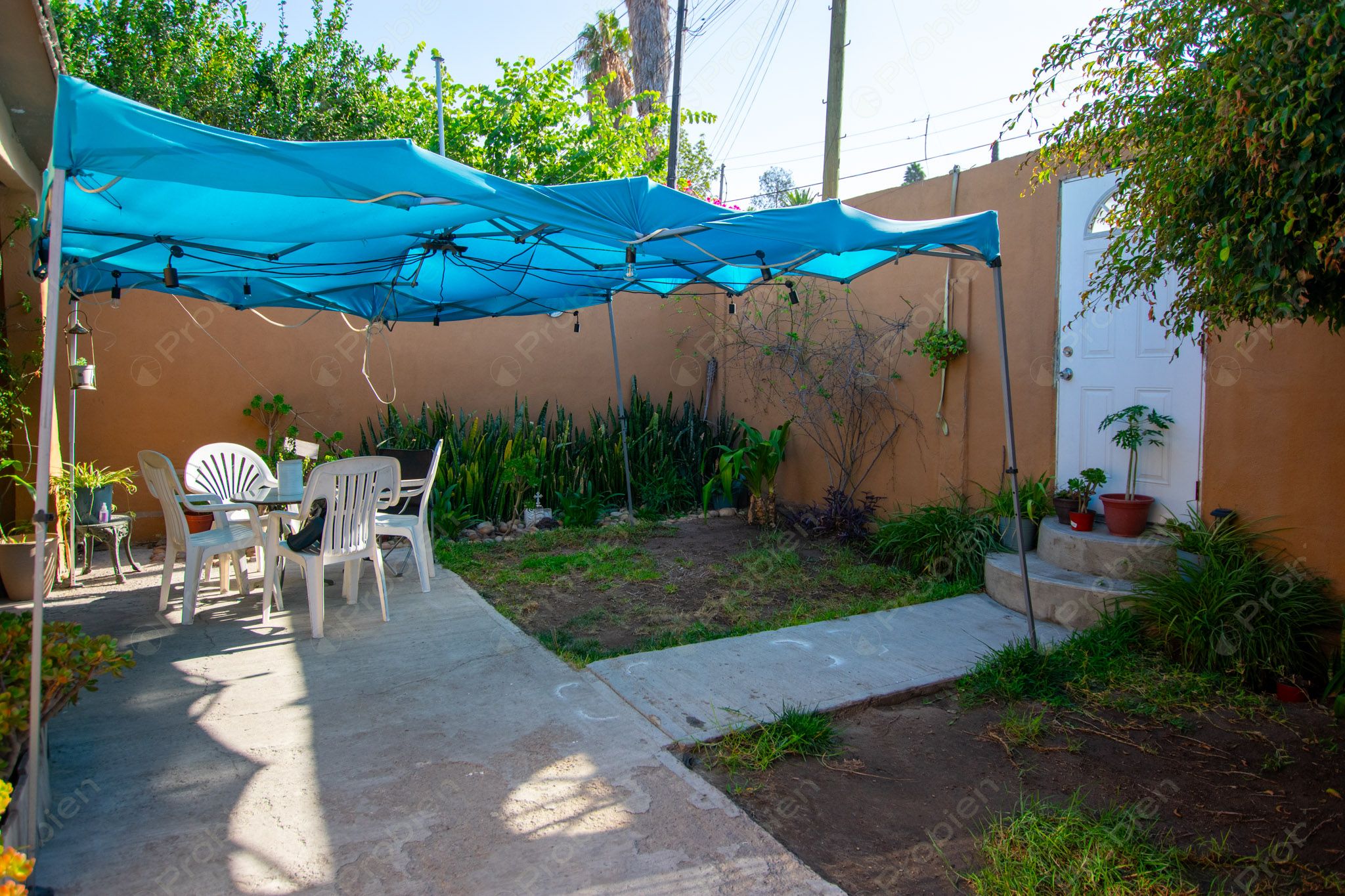 Terreno con Construcción en Venta en Col. Los Pinos de Narez – 392 m² con Gran Potencial - Foto 5 de 16