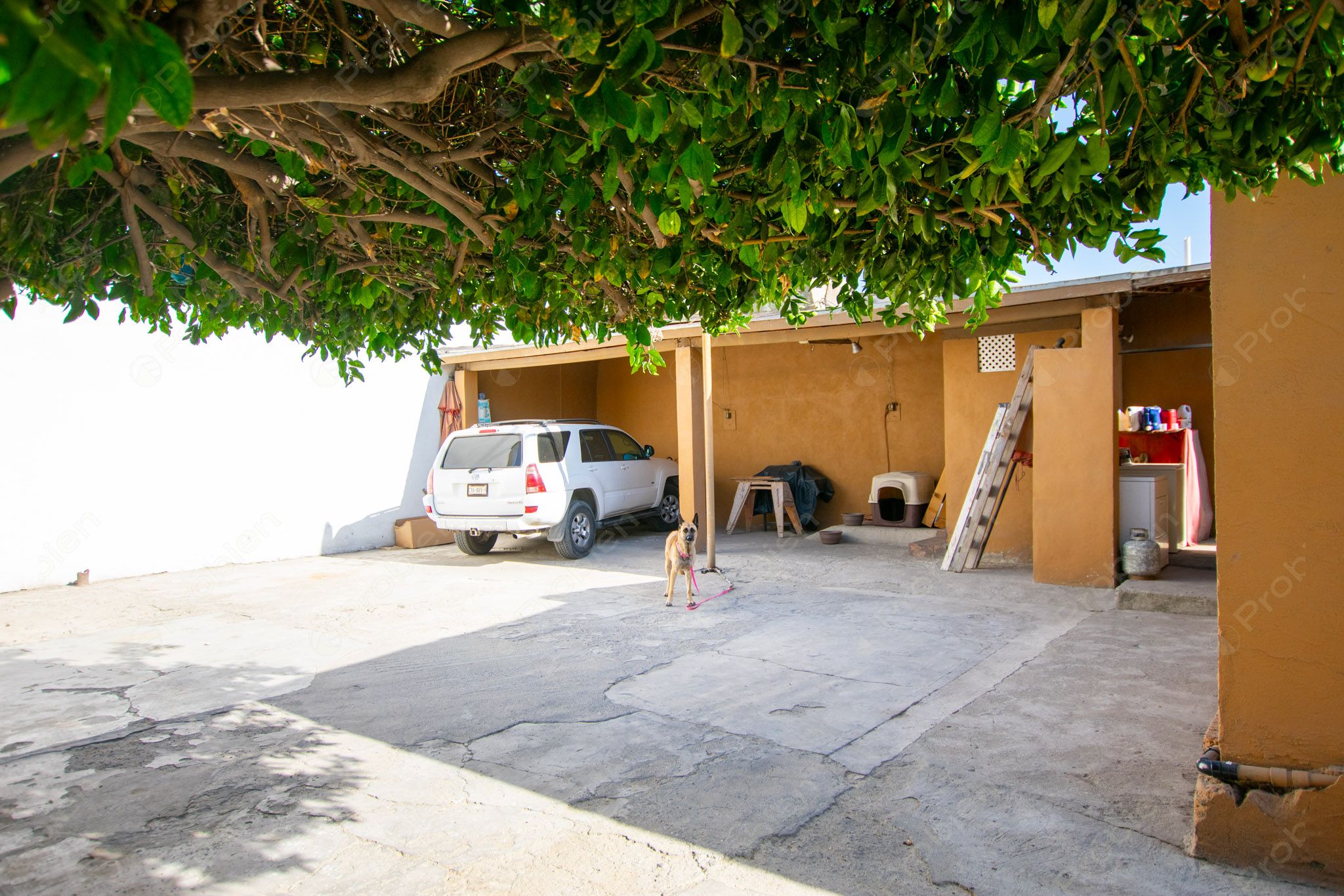 Terreno con Construcción en Venta en Col. Los Pinos de Narez – 392 m² con Gran Potencial - Foto 8 de 16