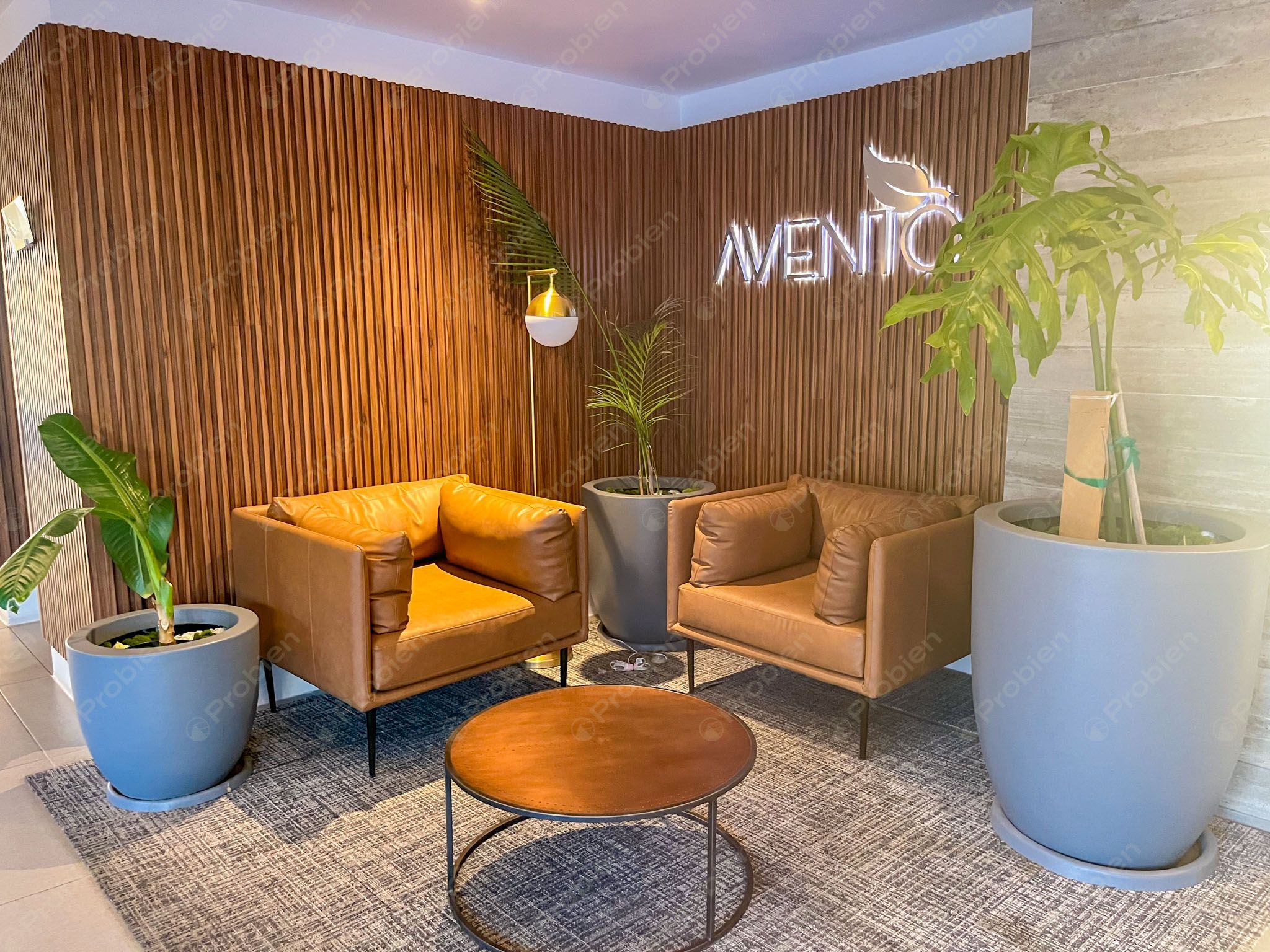 Departamento en Venta - Avento En Plaza Alameda Otay - Foto 21 de 25