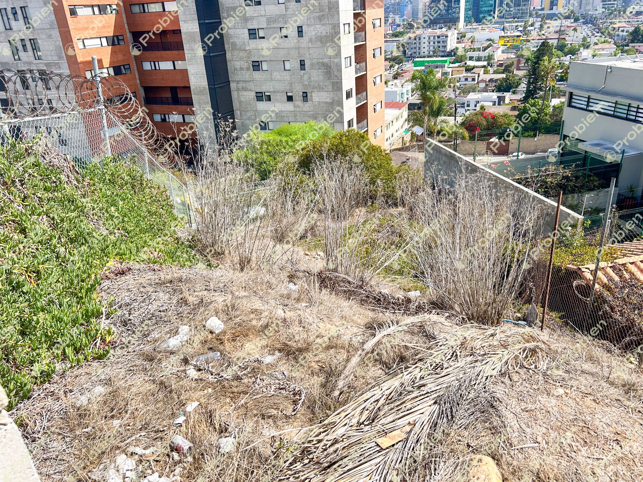 Terreno en Venta en Colonia Cacho – 245 m² Ideal para Residencia o Torre de Departamentos - Foto 8 de 10