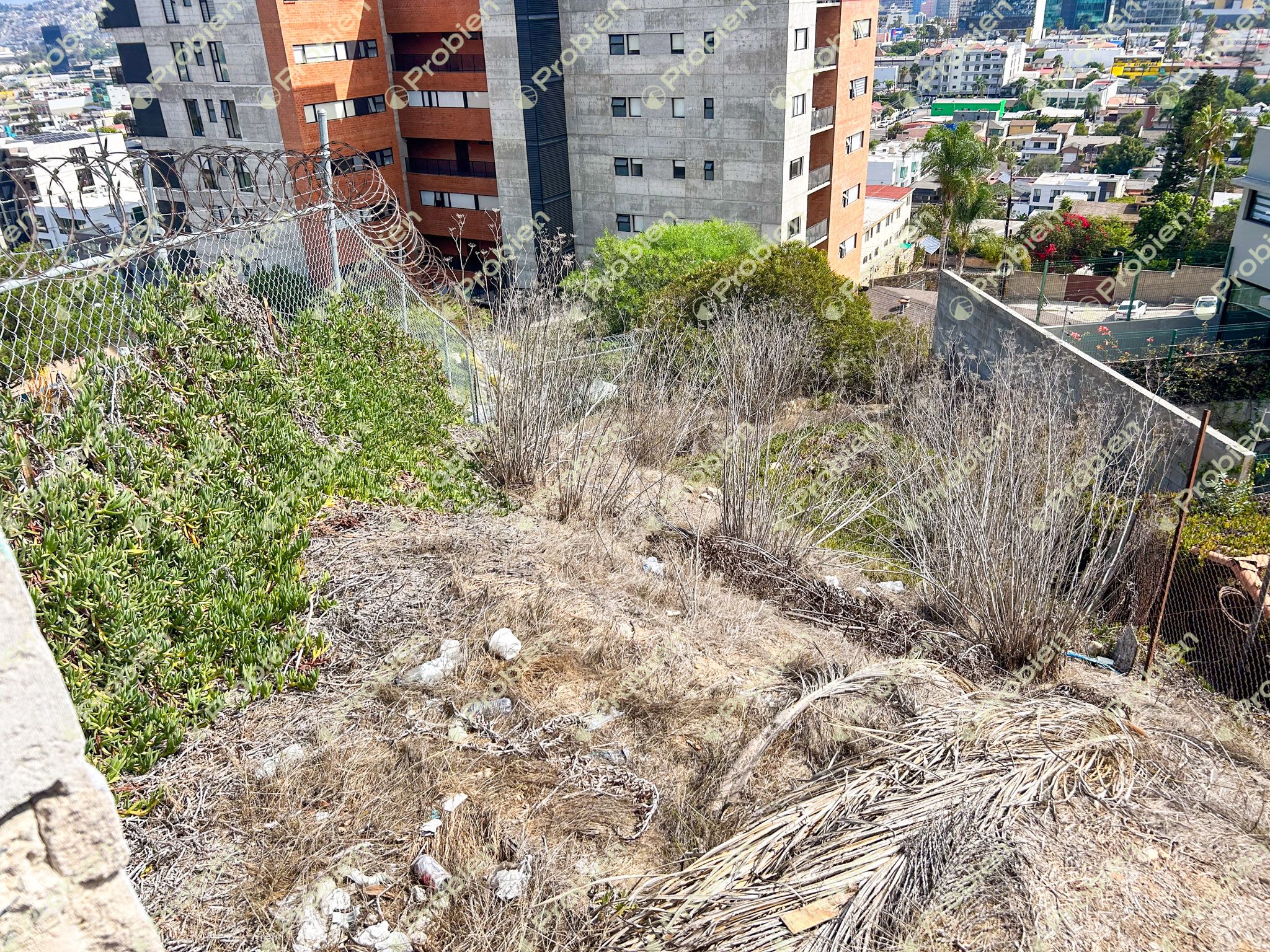 Terreno en Venta en Colonia Cacho – 245 m² Ideal para Residencia o Torre de Departamentos - Foto 9 de 10