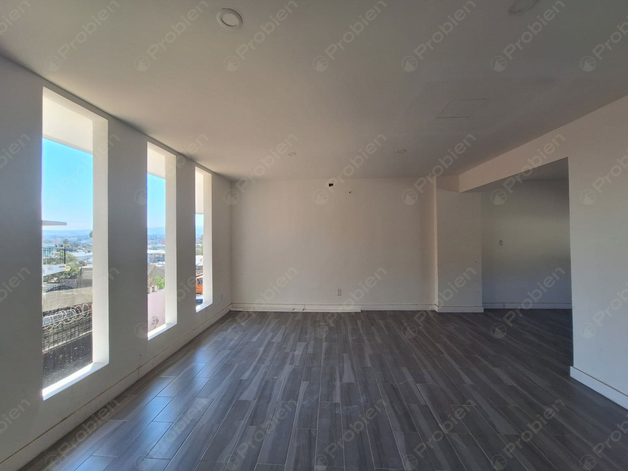 Departamentos en venta El Encinal - Col. Buena Vista Segundo Piso 2da Planta - Foto 4 de 11