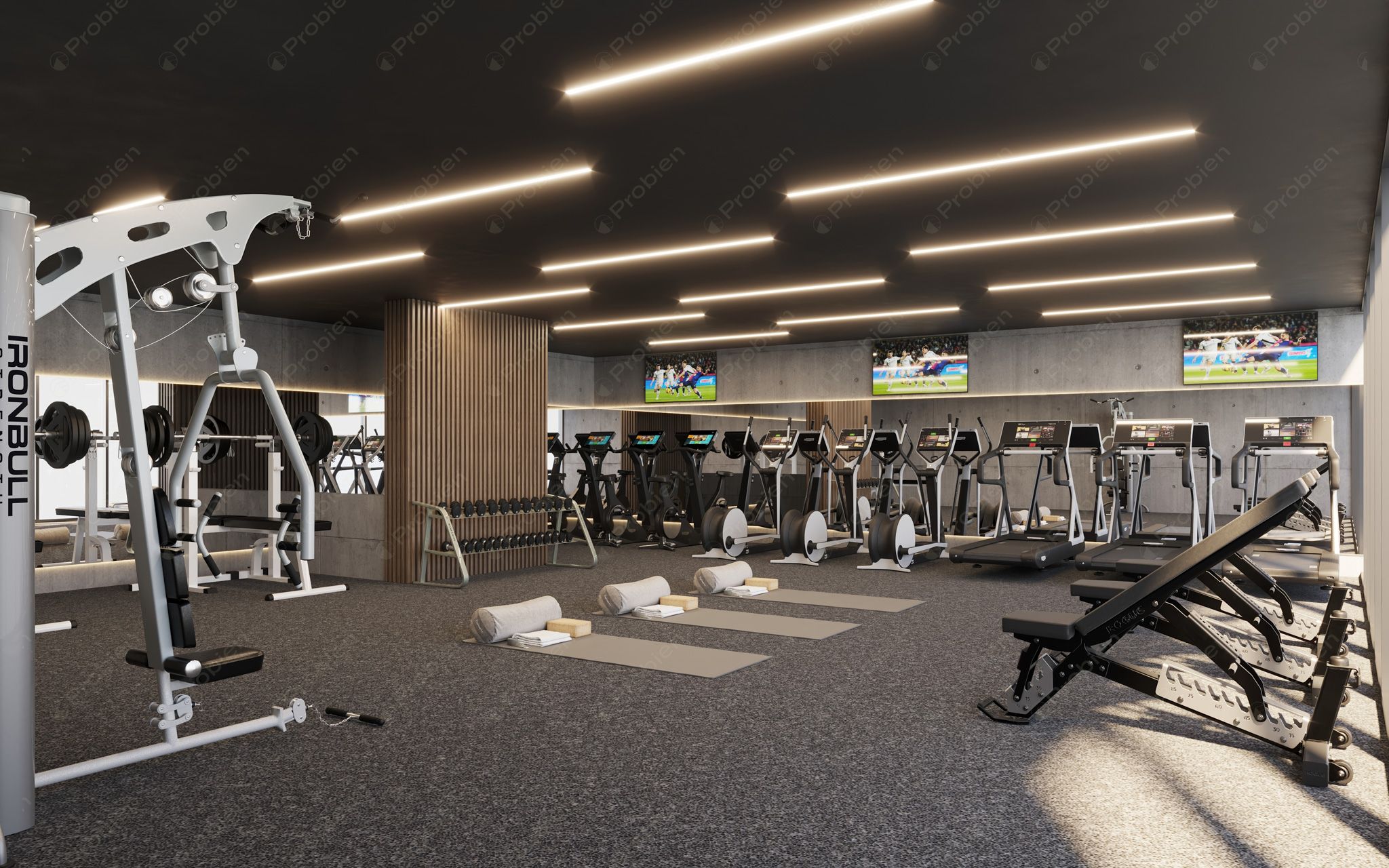 Elvira Residences PH 1 - Departamentos en Venta - Foto 10 de 12