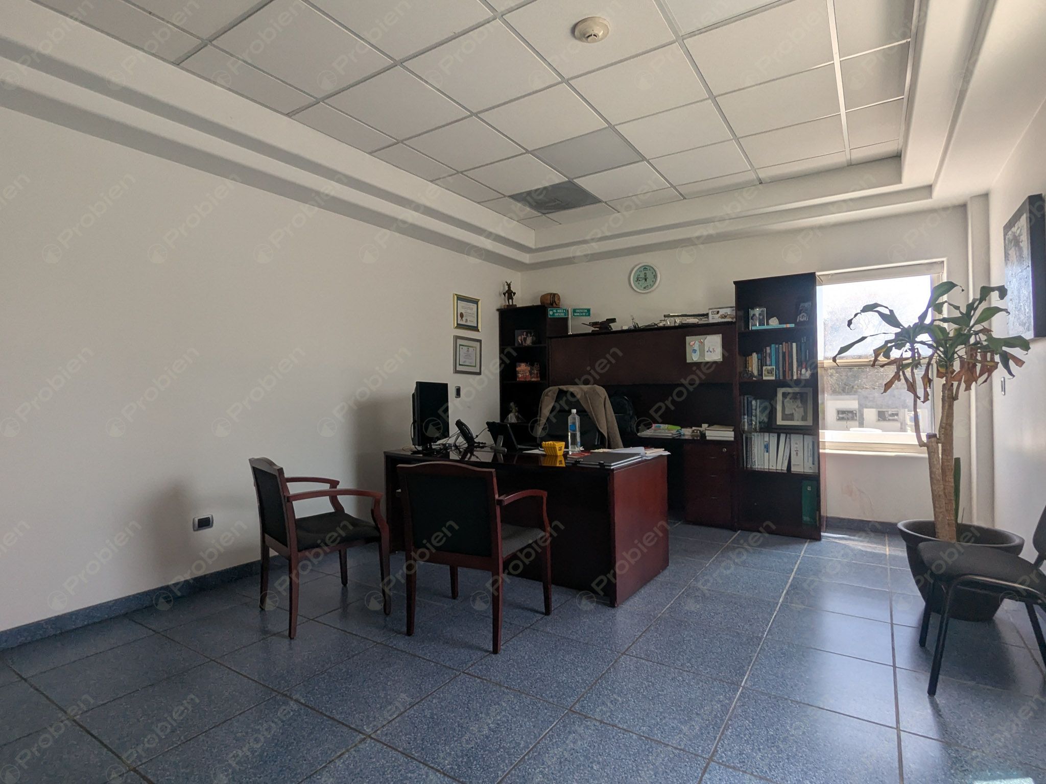 Terreno con edificio Corporativo en Venta – Vía Rápida, Zona Río 3ra Etapa - Foto 24 de 29