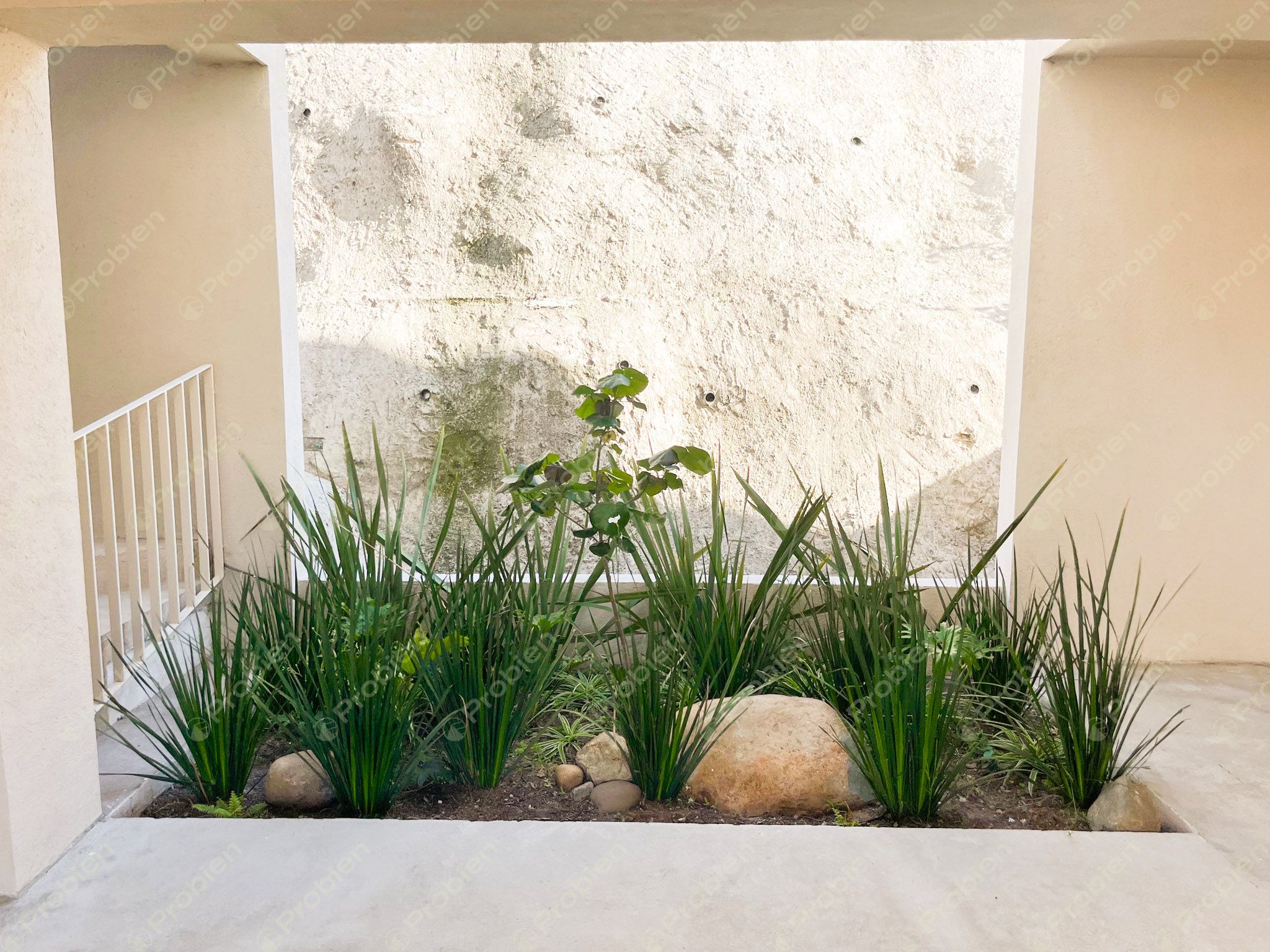 Casas nuevas en Renta - Colonia 20 de Noviembre - Foto 12 de 18