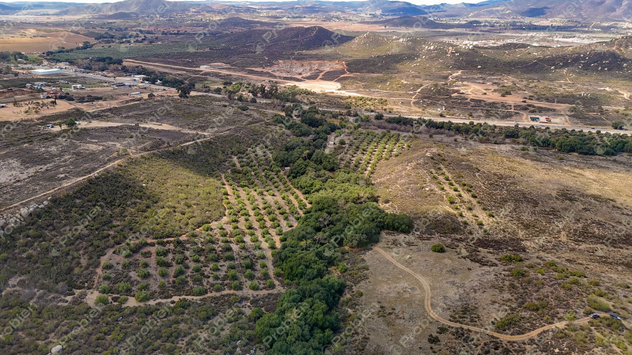 Terreno en Venta en el Valle de Guadalupe - Ideal para Desarrolladores - Foto 11 de 11