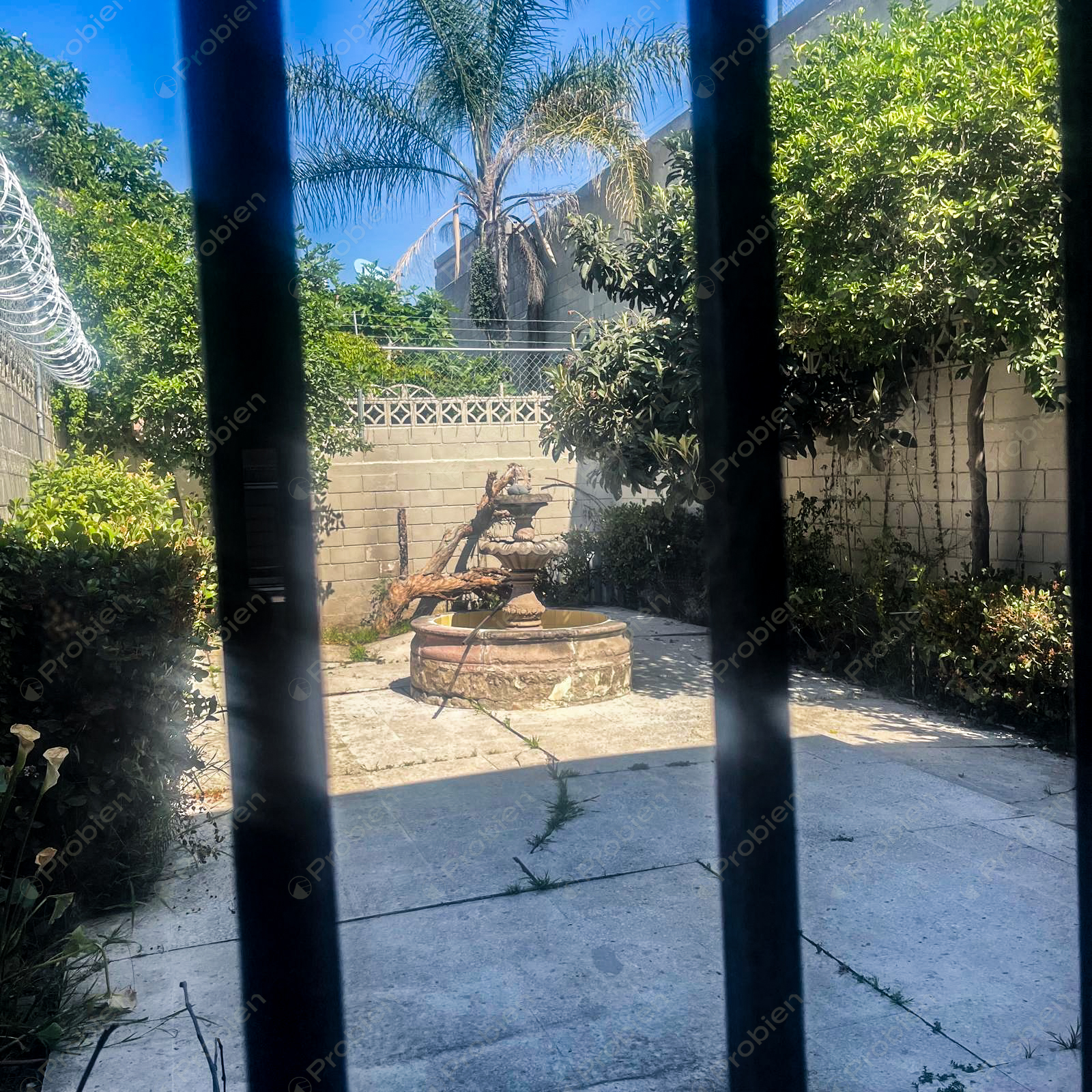 Casa residencial y comercial en renta en Las Palmas Tijuana con amplios espacios - Foto 8 de 10